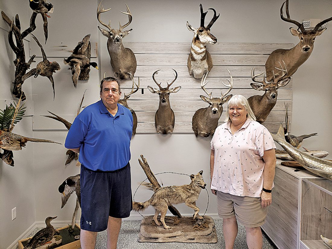 All Things Wild Taxidermy open in North Fort Myers | News, Sports, Jobs - Vimarsana News